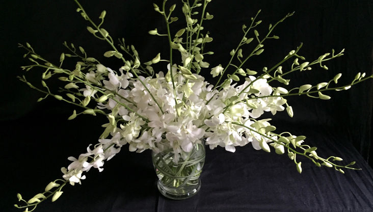 Celebration Life Flowers Montreal