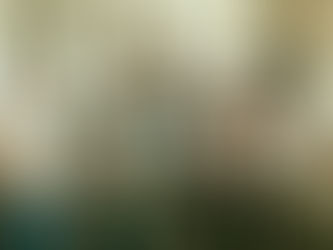 STEVE LYSTON | THE 5 M’s FOR DAILY SUCCESS