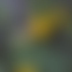 April 2023 - Week 4 Roundup