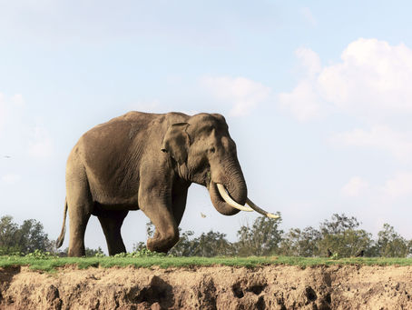 April 2023 - Week 1 Roundup