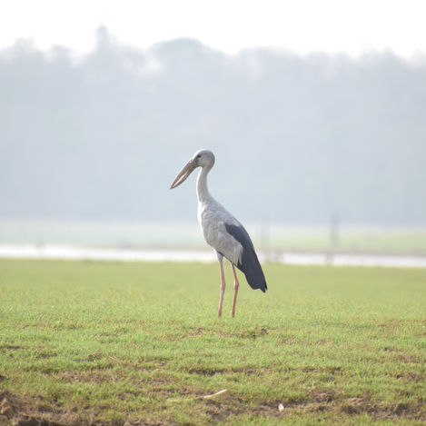 March 2023 - Week 2 Roundup