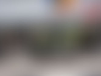 Day 04: The Cycle Rally for Justice began in Breda, The Netherlands and concluded Antwerpen, Belgium