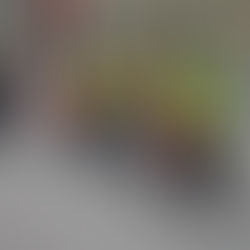 Day: 17 The Cycle Rally for Justice began in Bern, Swiss and concluded in Lausanne, Swiss