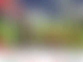 Day 12: The Cycle Rally for Justice began in Schiltigheim , France and concluded in Sélestat, France