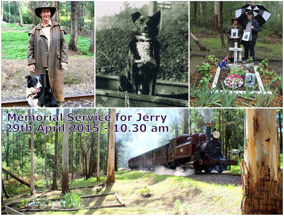 10899970_10152845380676235_6964214371078696325_o