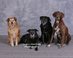 Breneman-2009-2318-wm.jpg