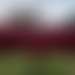 Personalized Bhutan Itineraries: Deep Connections with Communities