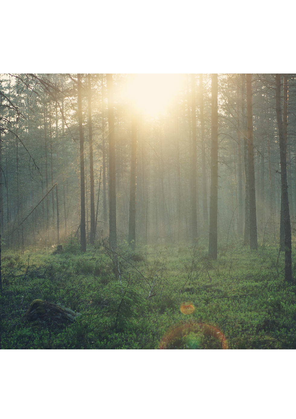 Reconnecting with Mother Natur