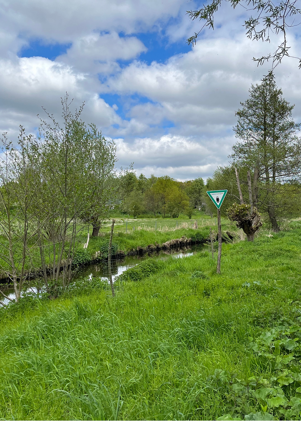 KräuterSpaziergang