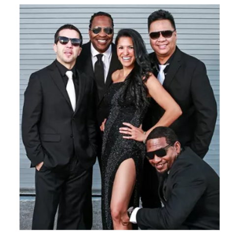 Booking Information For: The Pop Rebels Band