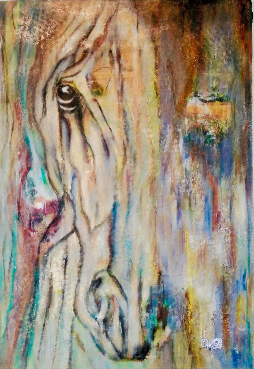 Spirit of the Colors