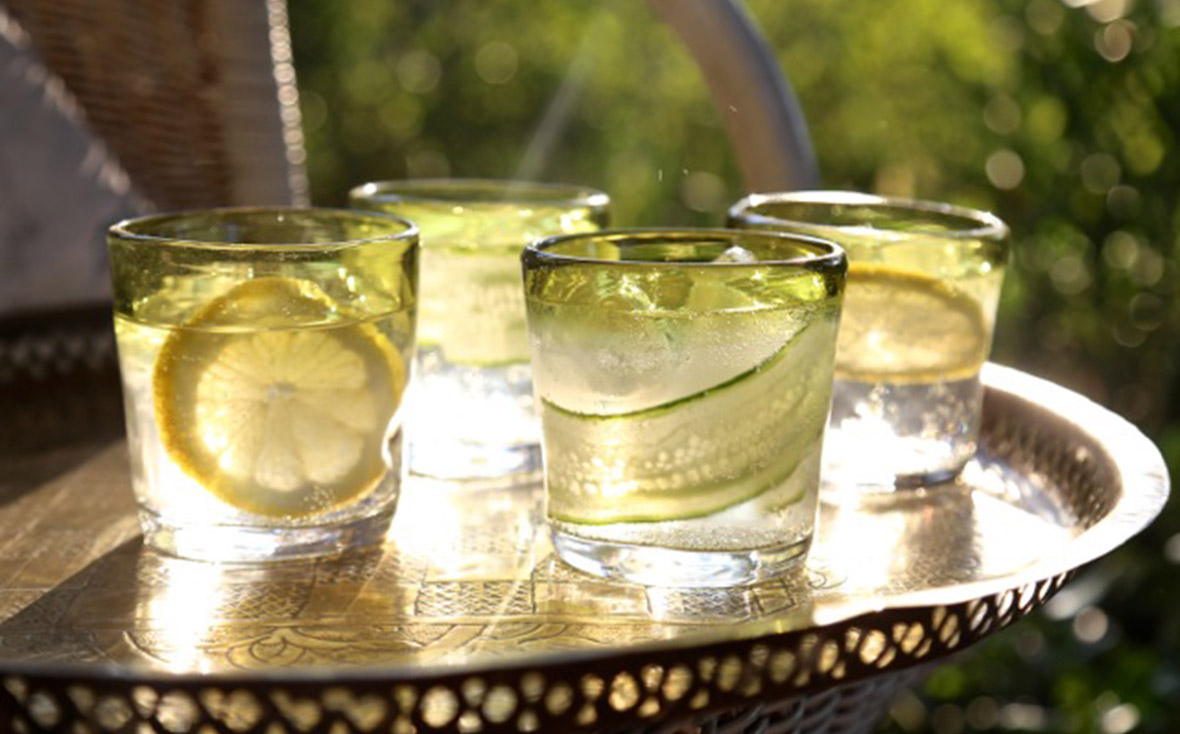 GIN in the WILD Tasting Experience
