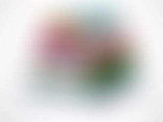 24 Libros esenciales para catapultar tu conocimiento.