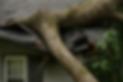 ChatGPT Image May 6, 2025, 11_51_41 AM.png