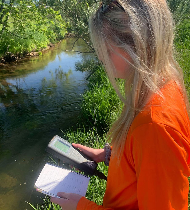 136368368_234597248115262_46374029915888