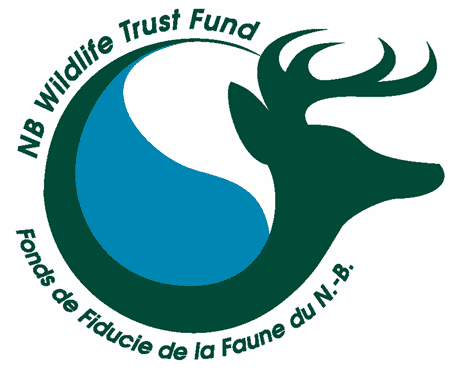 logo-large nbwtf.gif