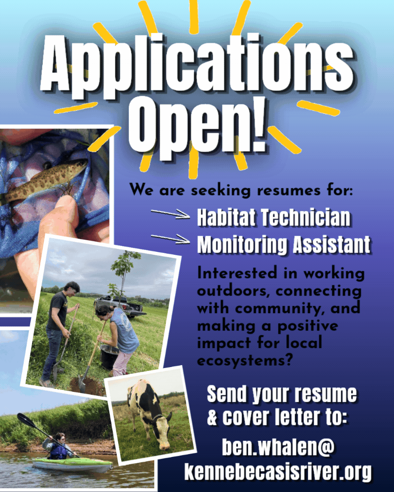 misc. posts 2026.gif