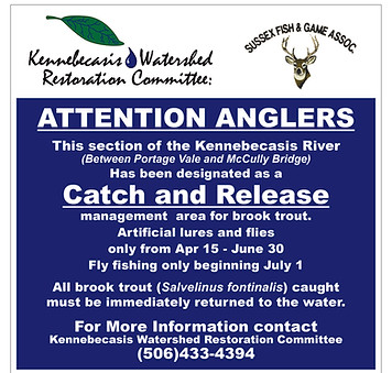16x16 Attention Anglers WO12345-01.jpg