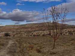 Cappadocia No. 1