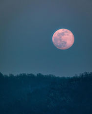 Pleine lune rose ou le réveil  en toi