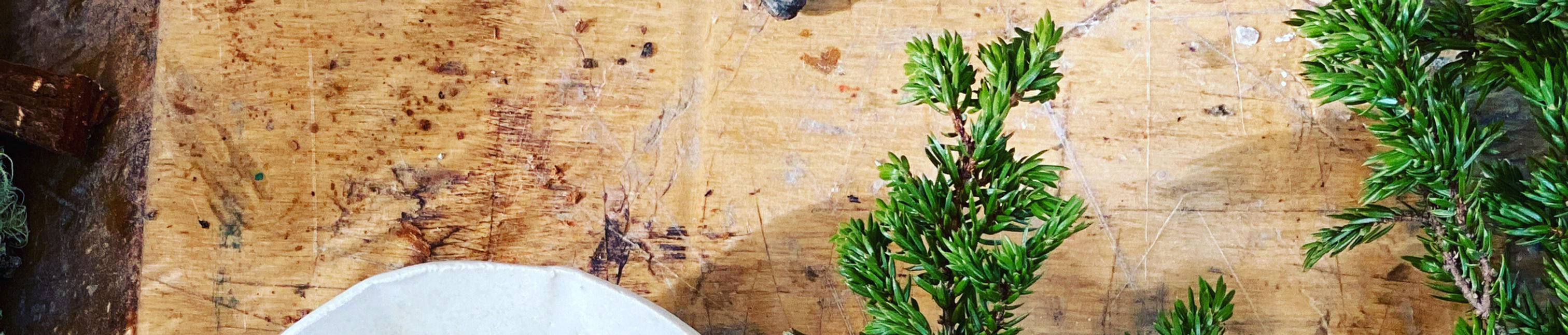 porselen m grønn.jpeg