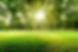 grands arbres
