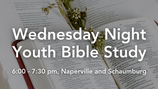 OYG Bible Study