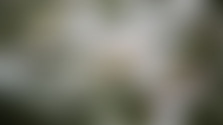 2025 Youth Winter Retreat