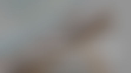 Youth Devotional Book