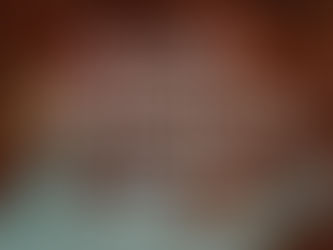  English Thanksgiving Potluck: 