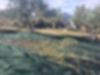 IMG-1db33a0c42c1cdcb8b7f4eff77a4f6aa-V.jpg