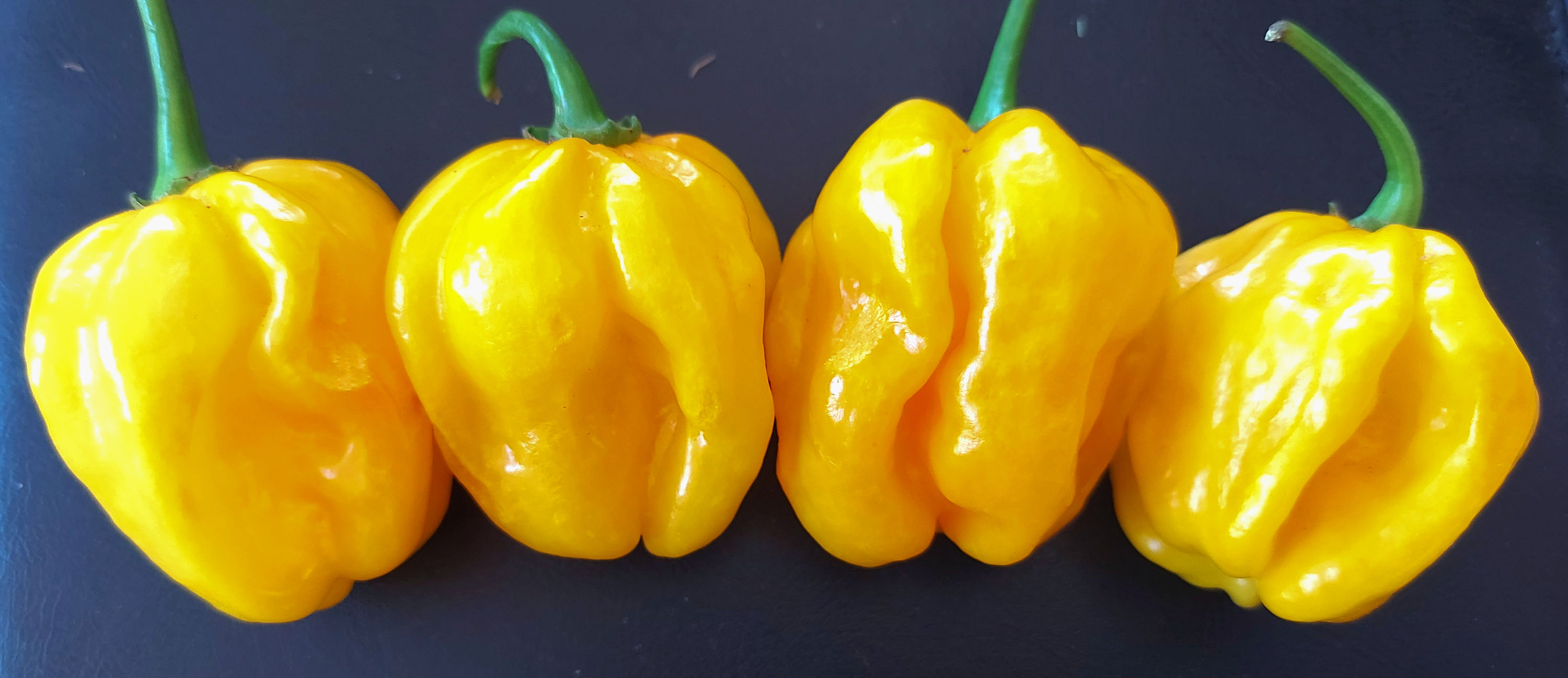 Aji Dulce Amarillo