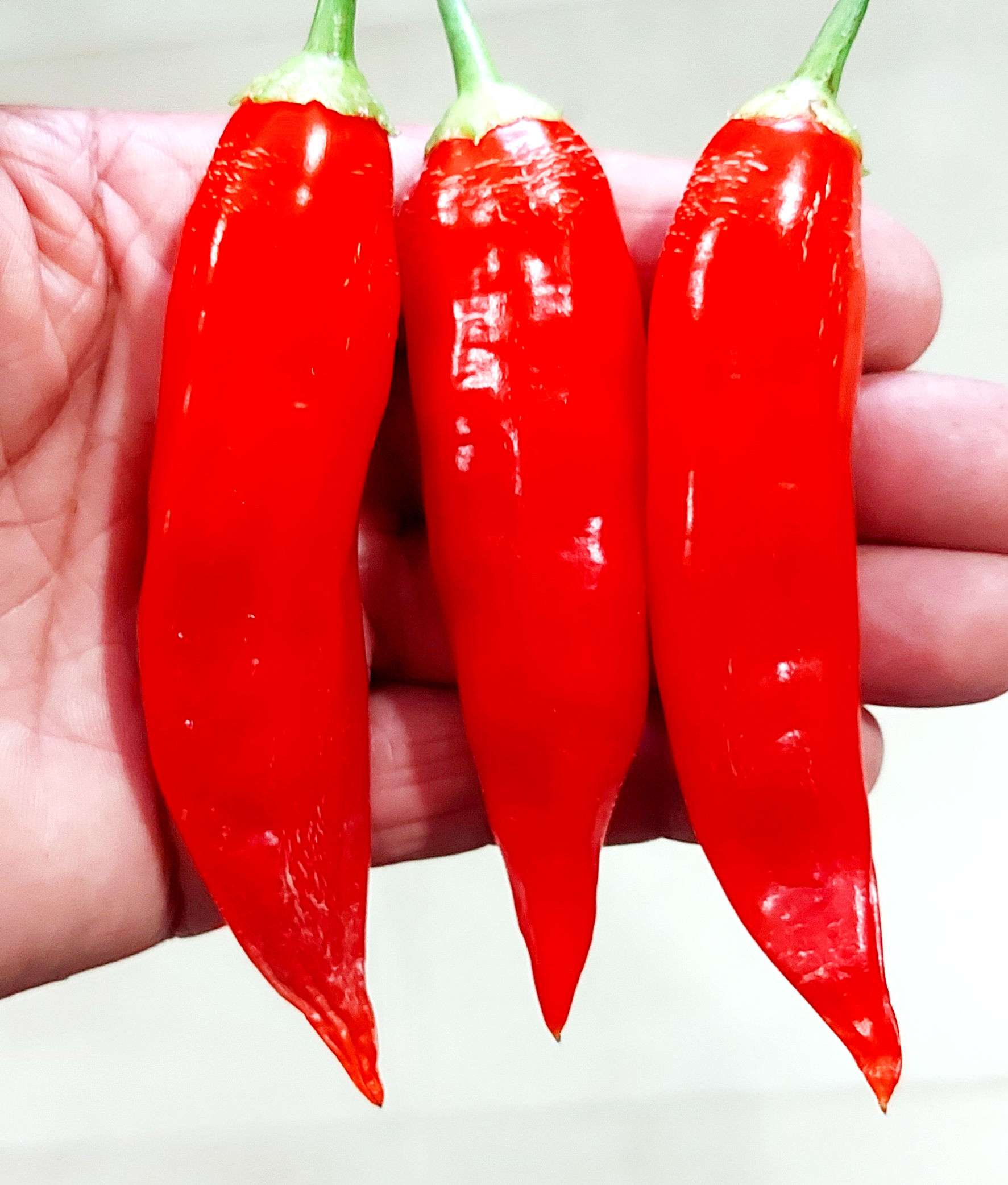 Aji Cristal