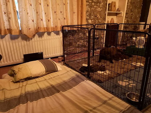 Bed.jpg