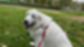 IMG_6238_edited.png