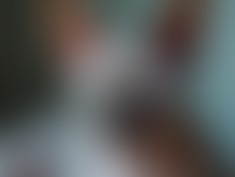 The Importance of Genetic Health Screening in Sphynx Cats