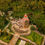 Miniatura: VALLE DE BRAVO, MALINALCO Y METEPEC
