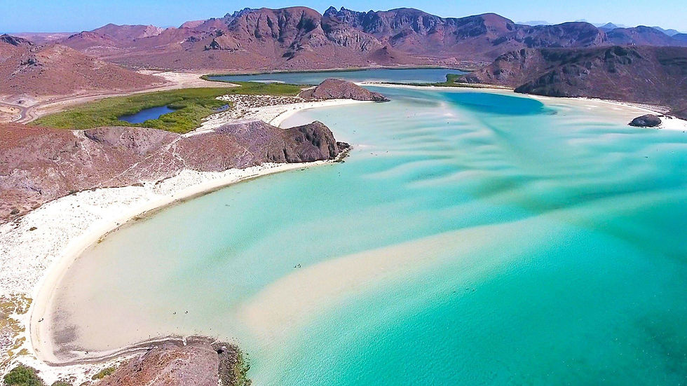 Miniatura: BAJA CALIFORNIA SUR