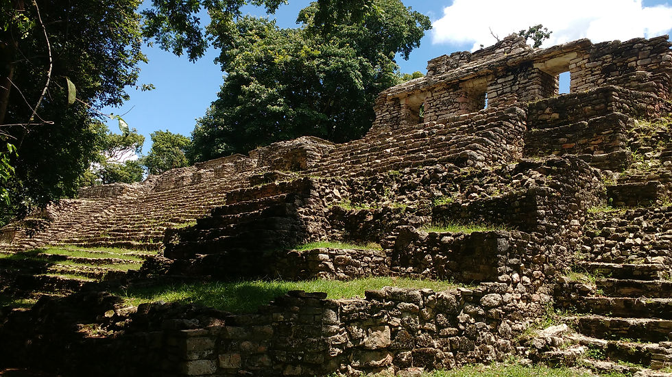 Miniatura: CHIAPAS: SELVA LACANDONA