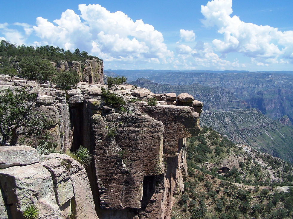 Miniatura: BARRANCAS DEL COBRE - MAZATLÁN