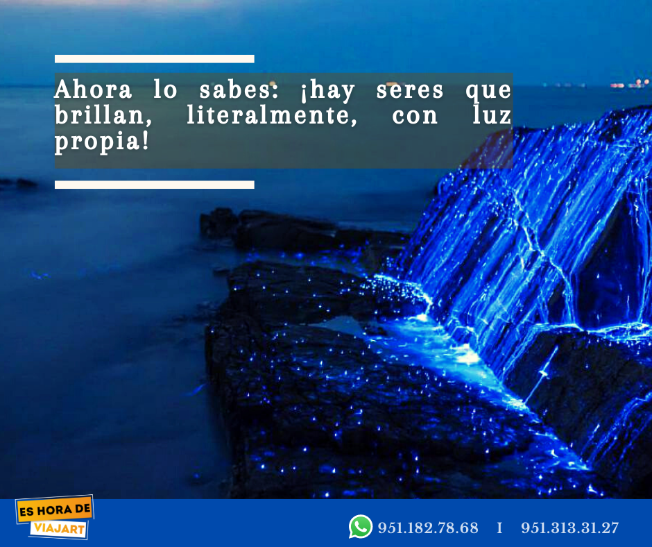 tour bioluminiscencia oaxaca