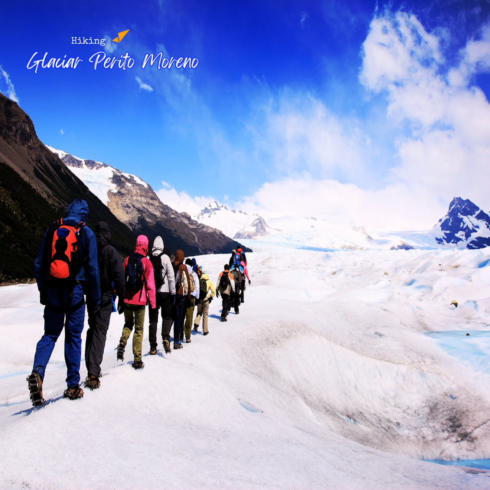 Miniatura: PATAGONIA ARGENTINA