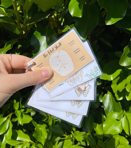 Cephalic Position and Presentation Cards | Thrive Mama