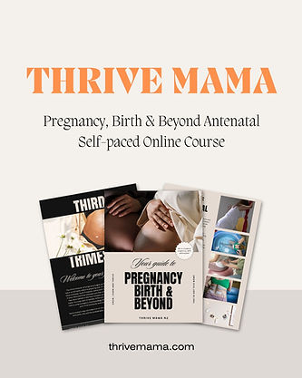 Modern Neutral Freebie Lead Magnet Mockup Instagram Post (Instagram Post (45)).jpg