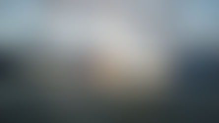 Cruising to Wrangell