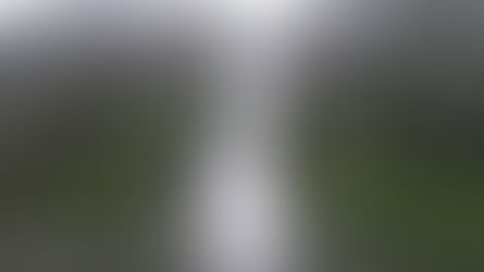 Red Bluff Bay--we finally made it!