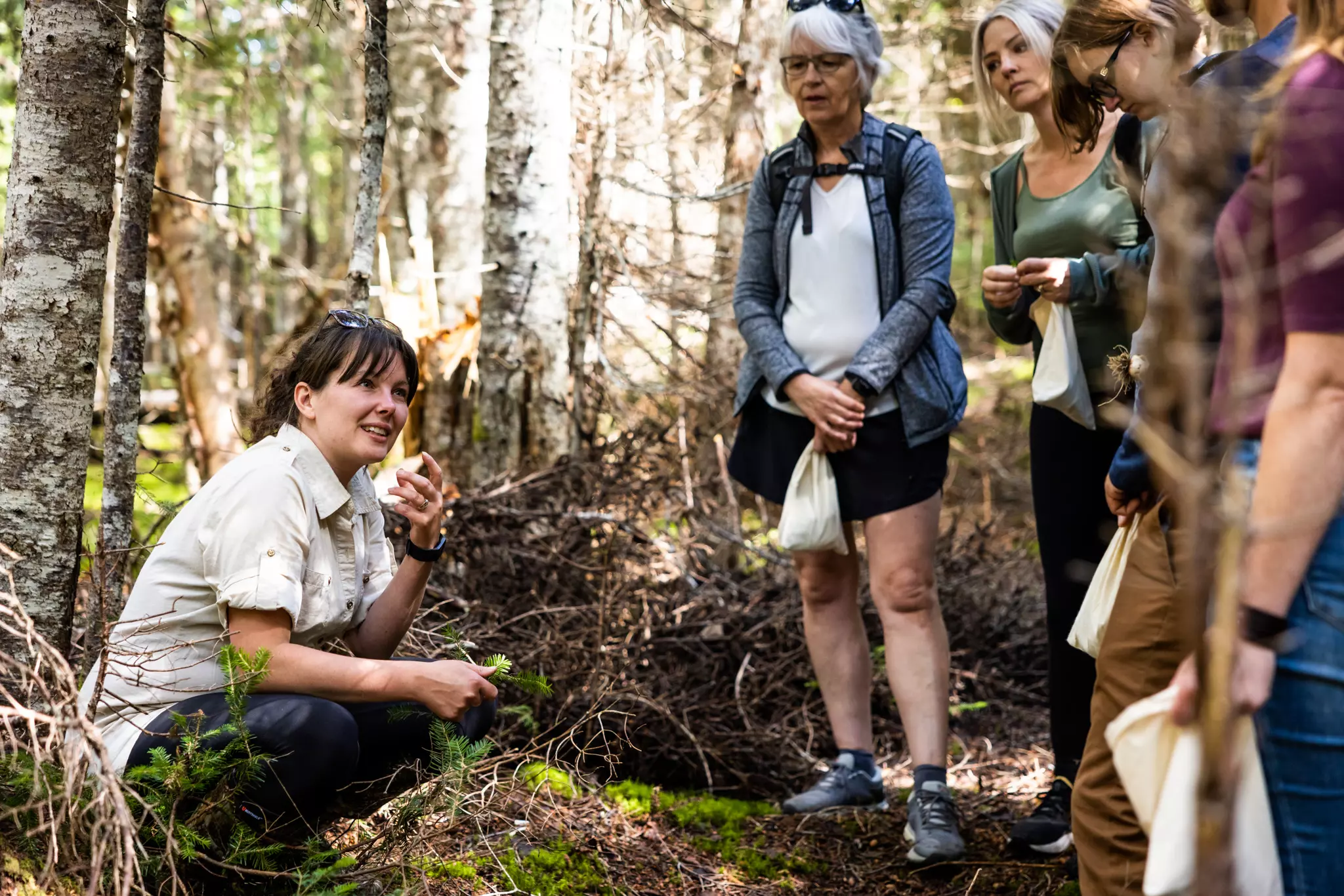 Farm and Foraging Experience