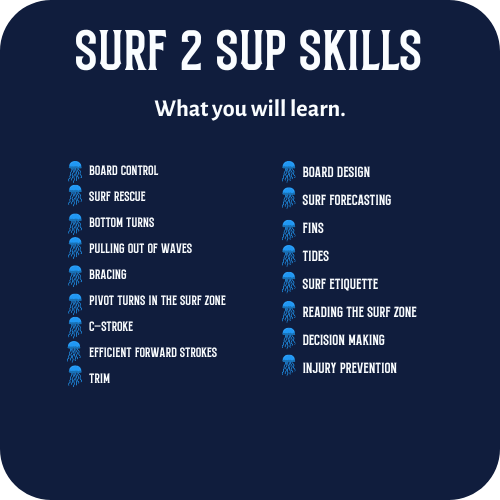 What you will Learn in a Surf 2 SUP Skills Course