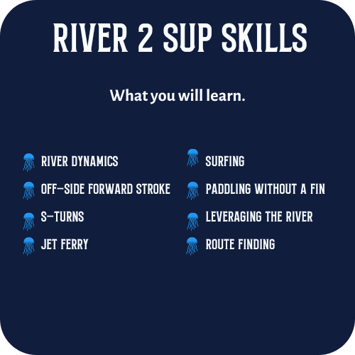 What you will Learn in a River 2 SUP Skills Course