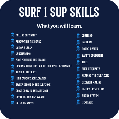 What you will learn in a Surf 1 SUP Skills Course